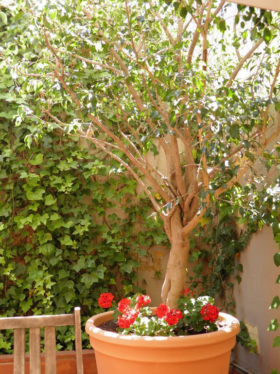 Appartement Suitur Courtyard Barcelone